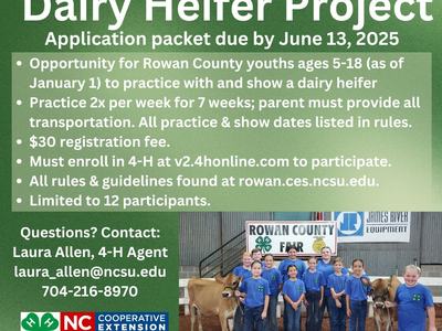 Rowan County 4-H Dairy Heifer Project; app due June 13, 2025; youth showing heifers