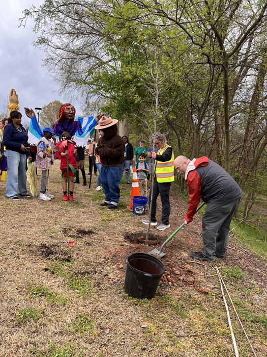 Figure 5: Image of ceremonial tree planting.