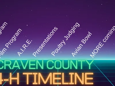 1980s style image of a timeline with 4-H programs on it.