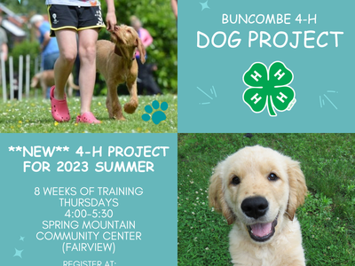 4-H Dog Project