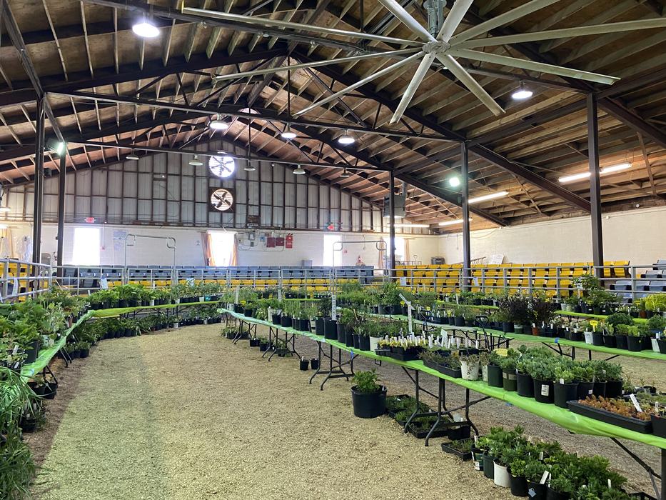 an assortment of plants inside an arena