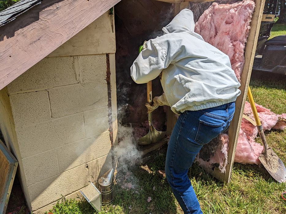 Jennifer gently removes the nest.
