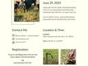 Amazing Grazing Workshop
