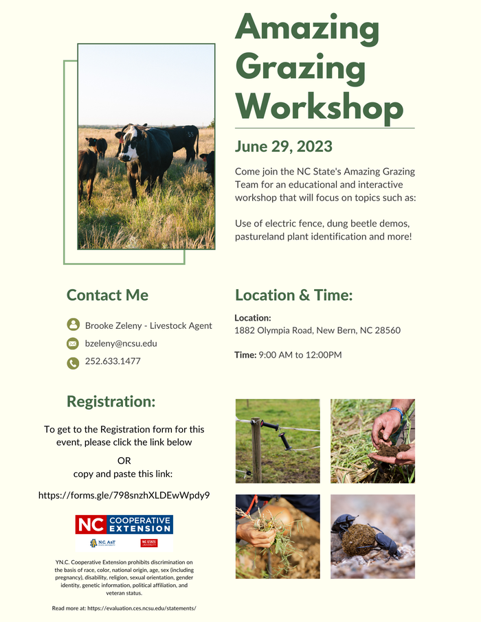 Amazing Grazing Workshop