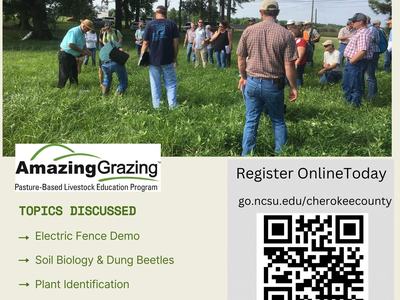Amazing Grazing Workshop