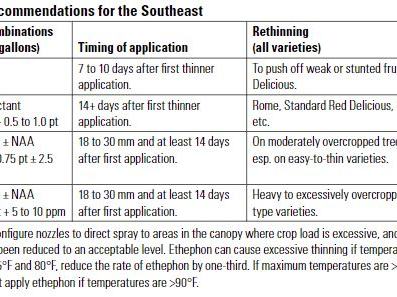 Apple rescue thinning reccomendations. 