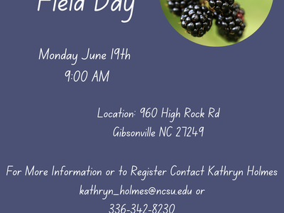 Blackberry Field Day, Monday June 19, 9:00 AM; Location: 960 High Rock Rd, Gibsonville NC