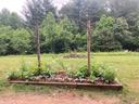 Raised garden bed with young plants and two wooden posts supporting circular vine frame