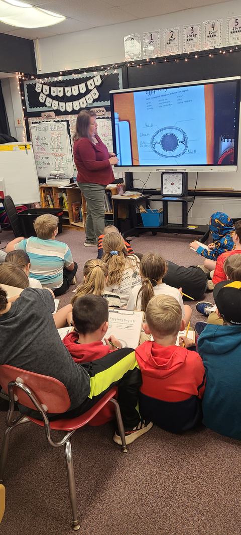 Teacher points to egg diagram on screen while students sit on floor writing.