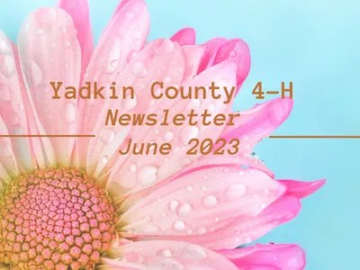 June Newsletter 2023