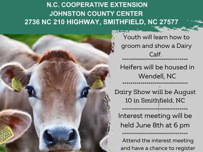 2023 Johnston County Youth Dairy Heifer Project Interest Meeting June 8, 2023 at 6 pm. For any questions call 919-989-5380.