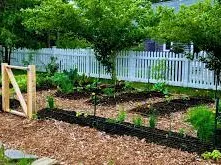 edible landscape