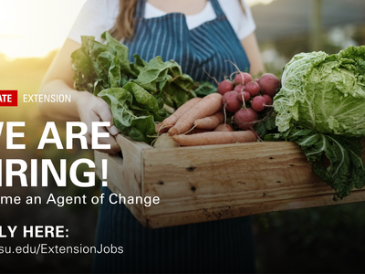 NC State Extension is hiring - become an agent of change and discover more at go.ncsu.edu/ExtensionJobs.