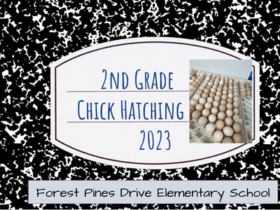 picture of chick hatching journal