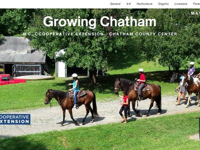 Children riding horses led along a farm path; header "Growing Chatham" and NC Cooperative Extension