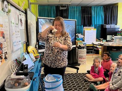 Teacher holding newly hatched butterfly above mesh enclosure while students watch
