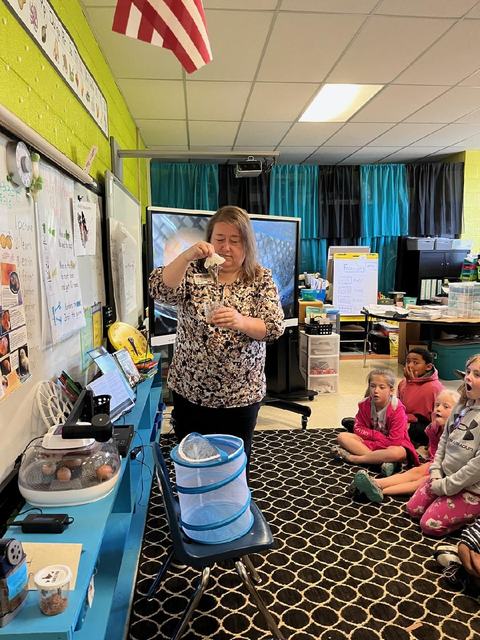 Teacher holding newly hatched butterfly above mesh enclosure while students watch