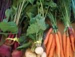 root crops carrots beets turnips