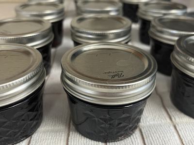 Small Ball mason jars filled with dark jam, metal lids visible, arranged on dish towel