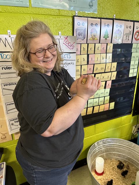 Woman holding a small yellow chick in a classroom, metal tub with chicks and waterer nearby