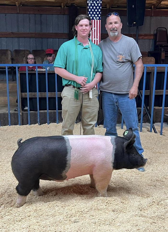 hog