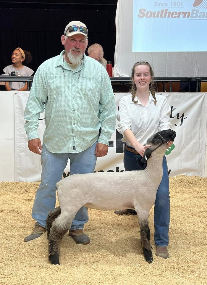 lamb