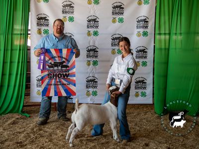 Orange County 4-H Member Meg Prinzo won Grand Champion with her Meat Doe at the 2023 CPJLS
