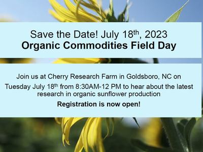 image of save the date picture with Date July 18th and sunflower background