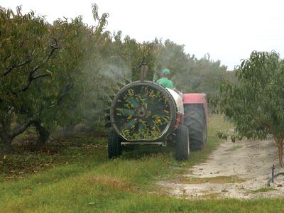 Applying Pesticides on Fruit Trees