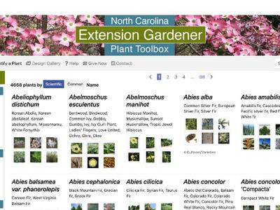 screenshot of plant toolbox website page