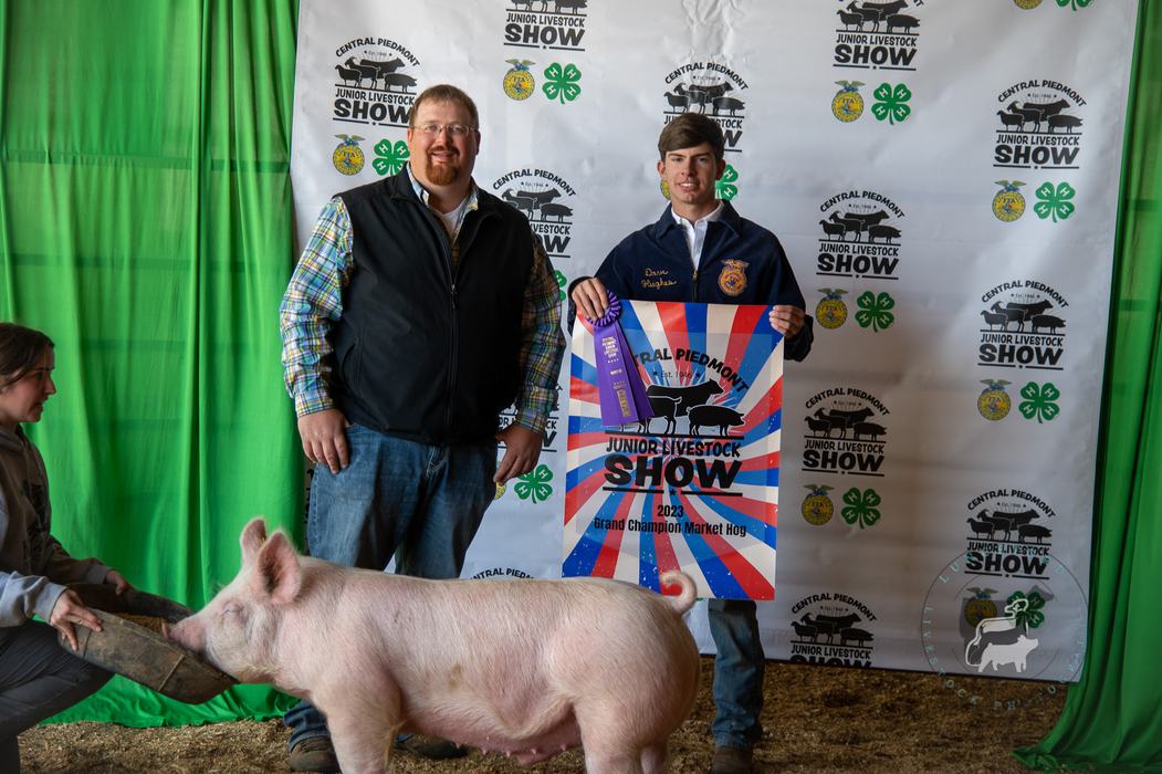 Two people holding "Junior Livestock Show 2023 Grand Champion Market Hog" sign as pig eats