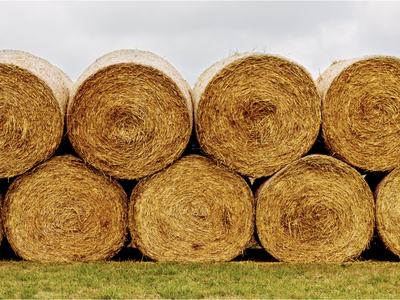 Stack of eight round hay bales in two rows on grassy field