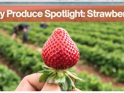Hand holding a strawberry in a field; text: "May Produce Spotlight: Strawberries"