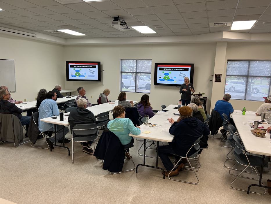 Growing Tomatoes Successfully