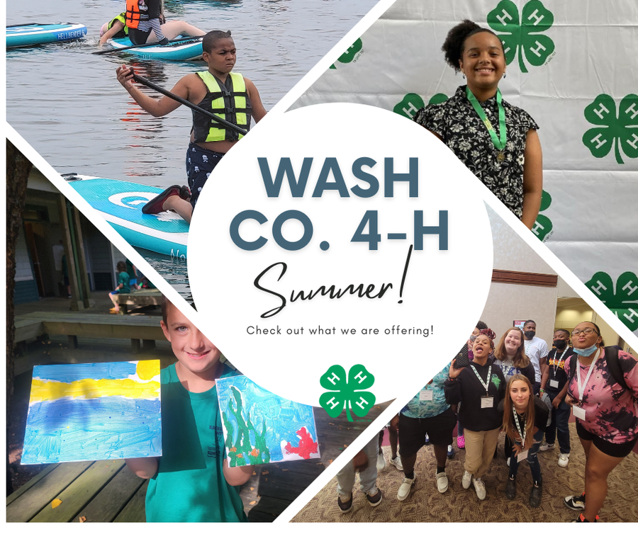 Pictures of 4-H youth at different events