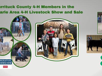 Currituck County 4-H Memebers in the Albemarle Area 4-H Livestock show and sale
