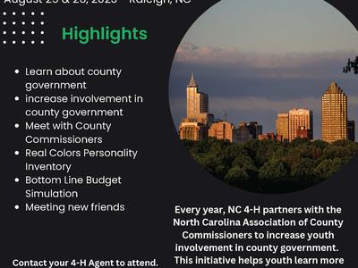 2023 Youth Voice Summit