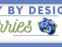 Blueberries Healthy By Design