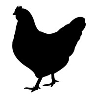 sillhouette of hen