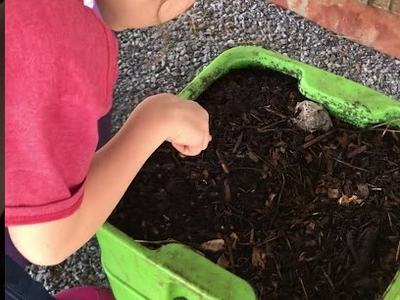 worm composting bin with youth