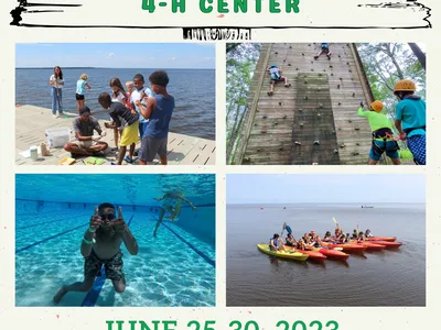 Summer camp 2023