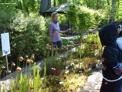 Volunteer teaching students