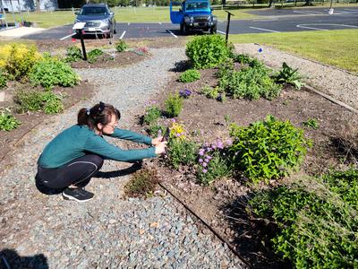 Gardeners are Scientist