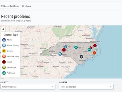 Map of North Carolina with markers for recent bean problems and legend labeled "Disorder Type"