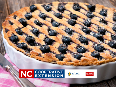 preparing blueberries