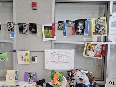 Photographs of dogs on display