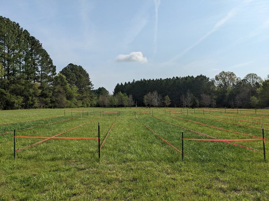 Variety trial field.