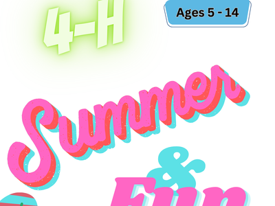 4-H Summer Fun