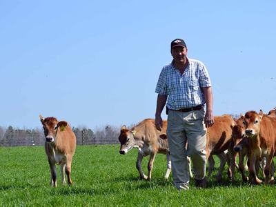 NC State Extension dairy team gives expert advice