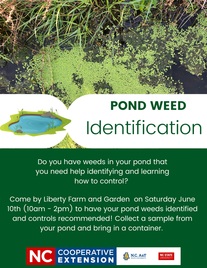 flyer outlining an opportunity on June 10th, 2023 to have aquatic weeds identified